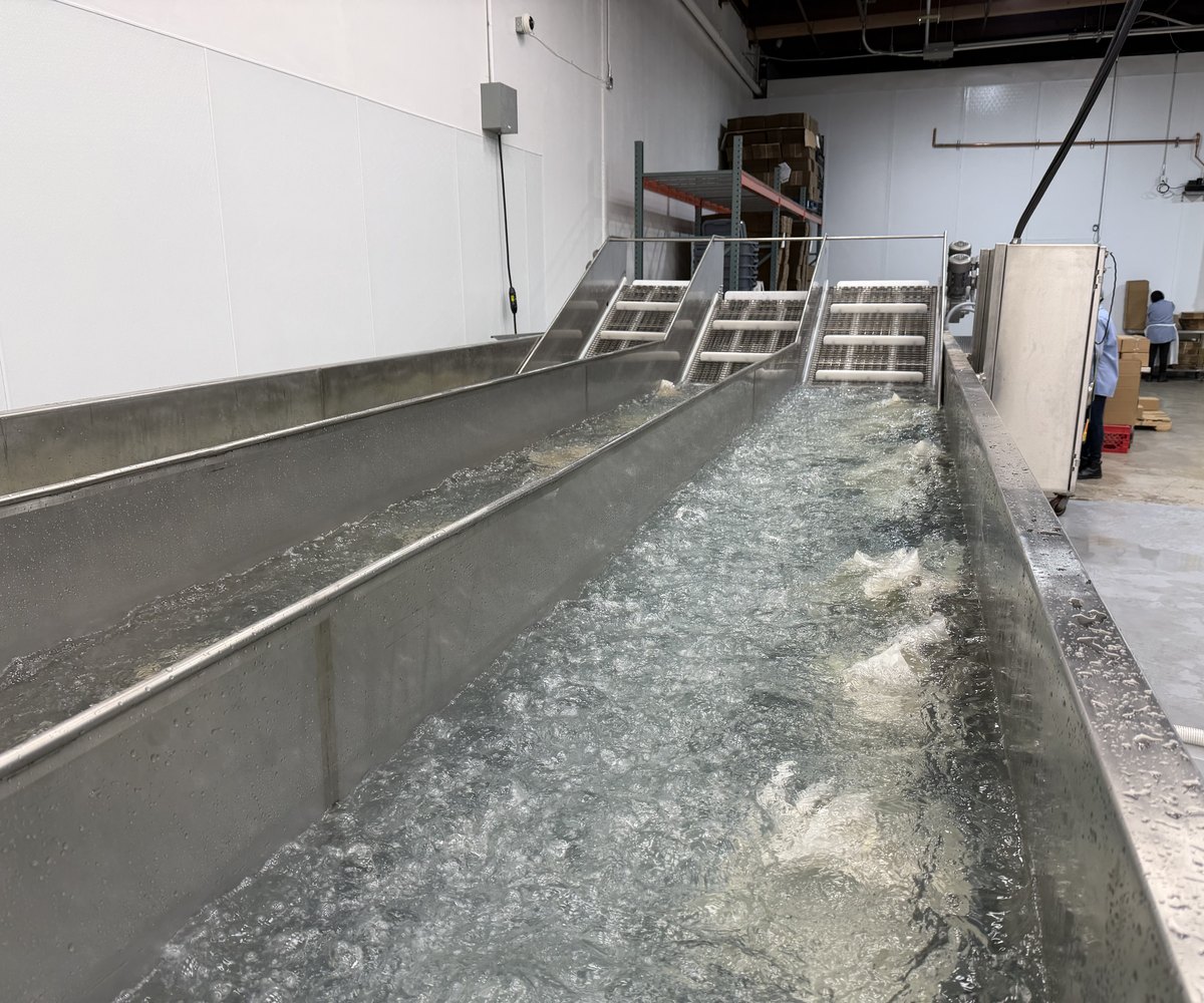Sealed product moving through the rapid chill tank